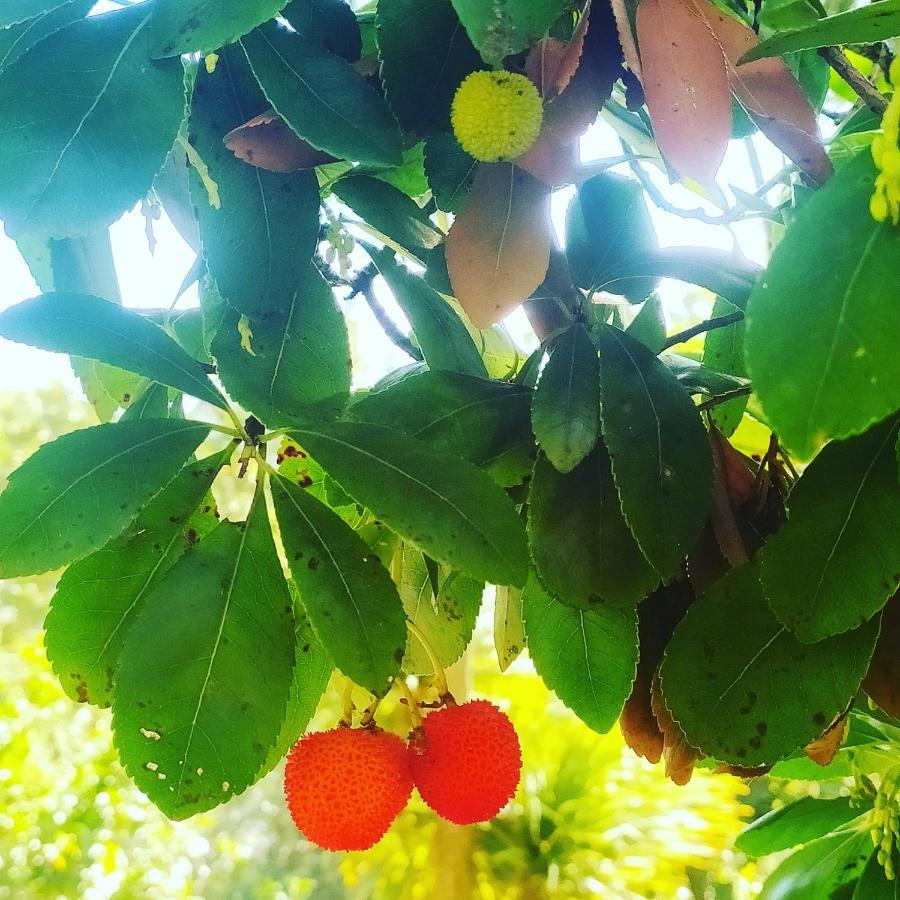 Ostello Ninin De Ma' Framura Ngoại thất bức ảnh